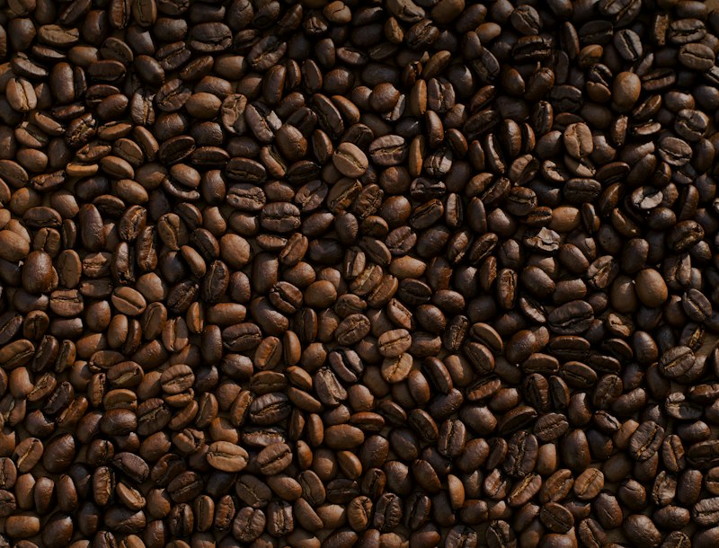 Grains de café arabica